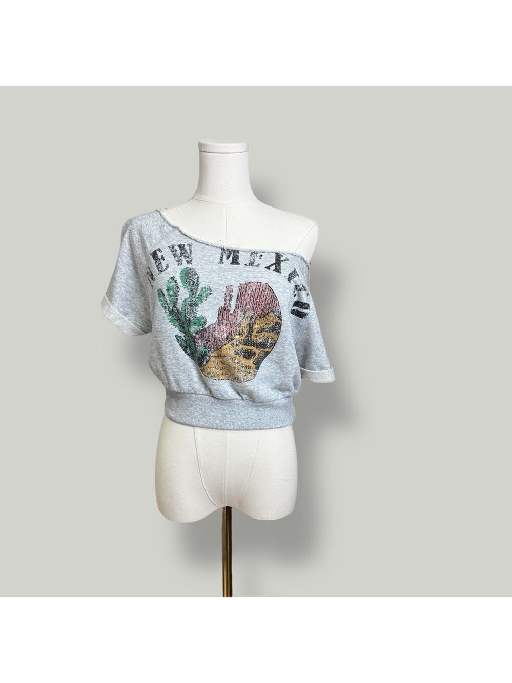 Graphic Sweatshirt Crop Top